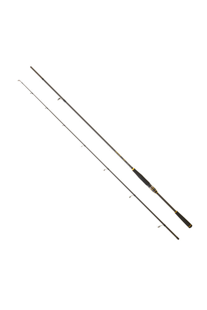 LEGALIS SEABASS BF 2.44M, 10-35GR, 2P KAMIŞ