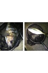 TICT MINIMALISM InstaNet EG-240 LRF Kepçesi