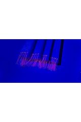 JDM Çapari 10'Lu UV (Pembe,Moraran Kombin )