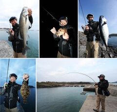 Gamakatsu LUXXE Yoihime Sou S53FL-Solid 160Cm 0.1-2 Gr Lrf Kamışı