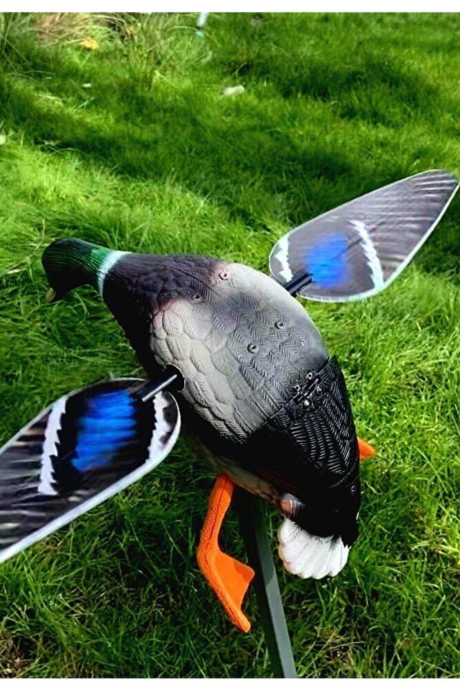 Yeşilbaş Ördek Müresi ( Uzaktan kumanda , Manyetik Mıknatızlı kanat)