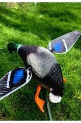 Yeşilbaş Ördek Müresi ( Uzaktan kumanda , Manyetik Mıknatızlı kanat)