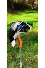 Yeşilbaş Ördek Müresi ( Uzaktan kumanda , Manyetik Mıknatızlı kanat)