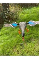 Yeşilbaş Ördek Müresi ( Uzaktan kumanda , Manyetik Mıknatızlı kanat)