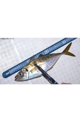 TİCT Pacchin Scale Metre