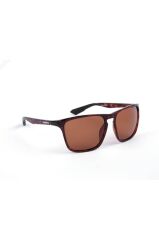 Shimano Polarize Güneş Gözlükleri Tortoiseshell & Copper - Tek Ebat