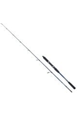 Ryuji Strobe II 198cm 40-110gr 2P Jig ve Tekne Olta Kamışı