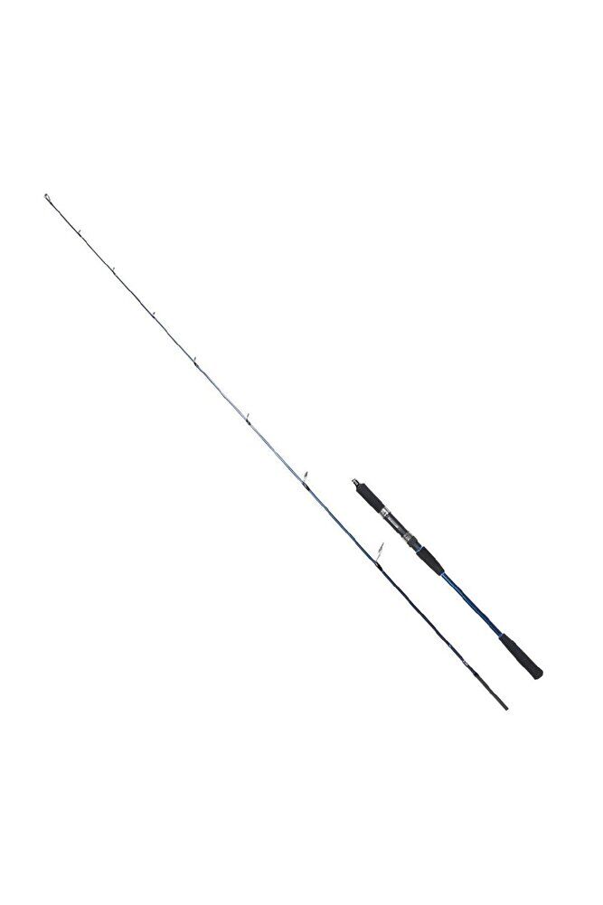 RYUJI STROBE SP 1.98M 20-80GR 2P JIG KAMIŞ