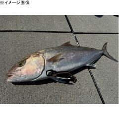 Daiwa Fish Grip ST HD250 250mm Koyu Mavi 07752861