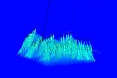 JDM Çapari 15'Li ( Sarı ,Siyah , Çift moraran kombin )