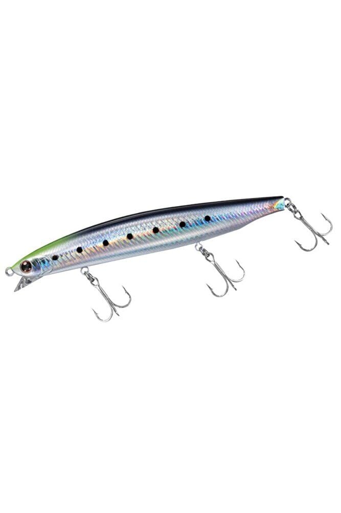 Shore Line Shiner Vertice R 140 S 3715
