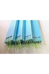 JDM Çapari 10'Lu UV