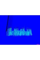 JDM Çapari 10'Lu UV